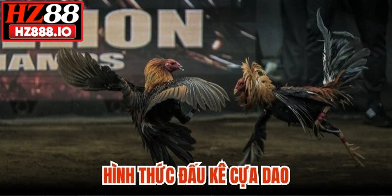 Hình thức đấu kê cựa dao